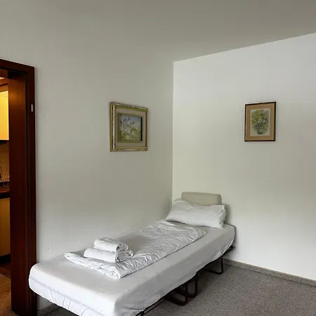 Seeglanz-apartment Istayunixi Seenaehe-terrasse-netflix Apartmán Ohningen